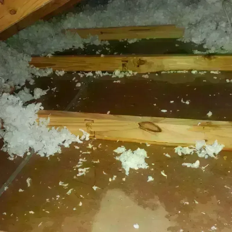 Attic Water Damage in Marshall, MO