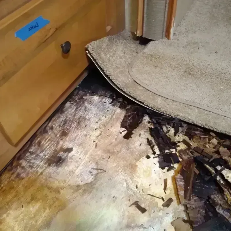 Wood Floor Water Damage in Marshall, MO